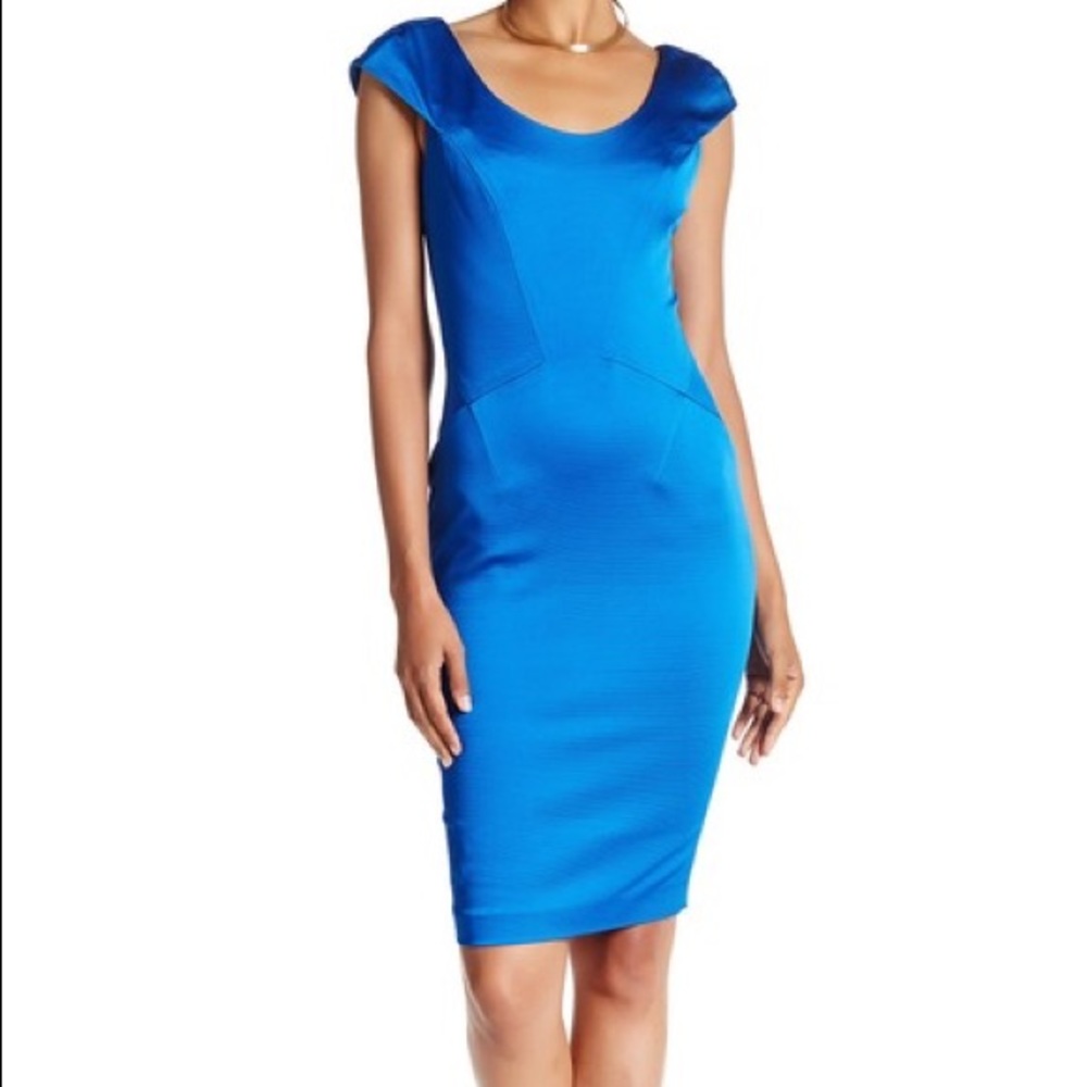 Zac by zac poison Irina dress